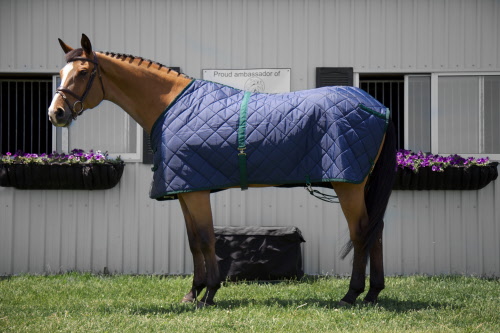 Brubachers Quilted Stable Blanket