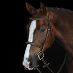 COLLEGIATE MONO CROWN FANCY STITCHED RAISED CAVESSON BRIDLE - BROWN - FULL