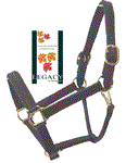 LEGACY LINED 1^ LEATHER HALTER YEARLING - BLACK