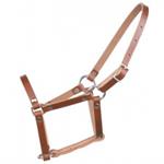MINATURE HORSE LEATHER HALTER - YEARLING
