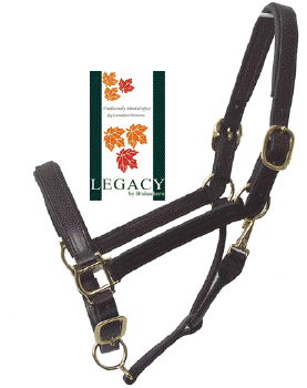 Large Horse & Draft Halters