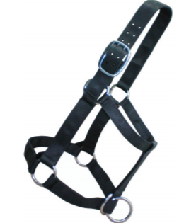 Large Horse & Draft Halters