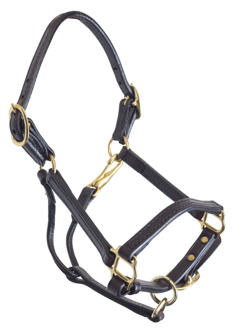 Leather Show Halter with Matching Lead, Chestnut