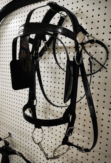 620 E&L BRAHMA WEB DRAFT BRIDLE (2)