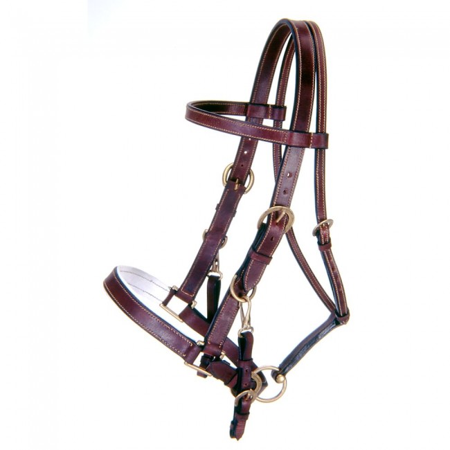 AUSTRALIAN OUTRIDER COLLECTION LEATHER HALTER/BRIDLE COMBO FULL - BROWN