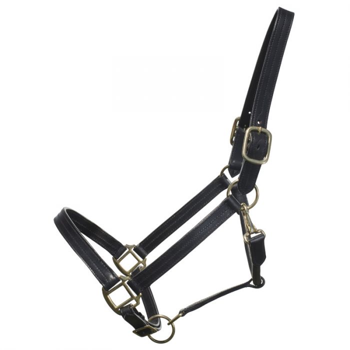 BROMONT LEATHER HALTER - BLACK - XL