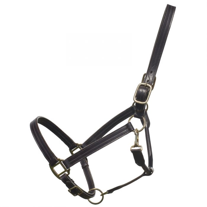 BM  Bronc Halter - Saddle Bronc Riding; Leather