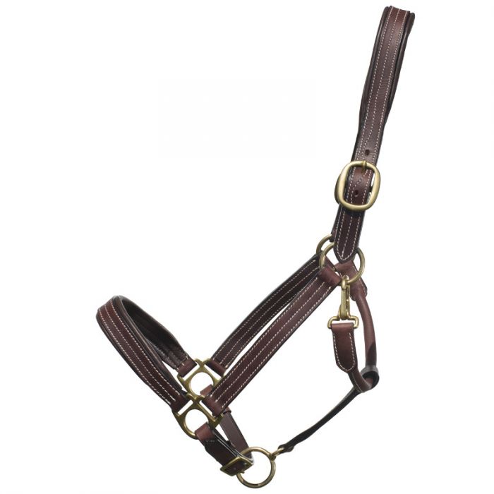 Padded Horse Halter Signature  Adjustable Halter – HorseHaus