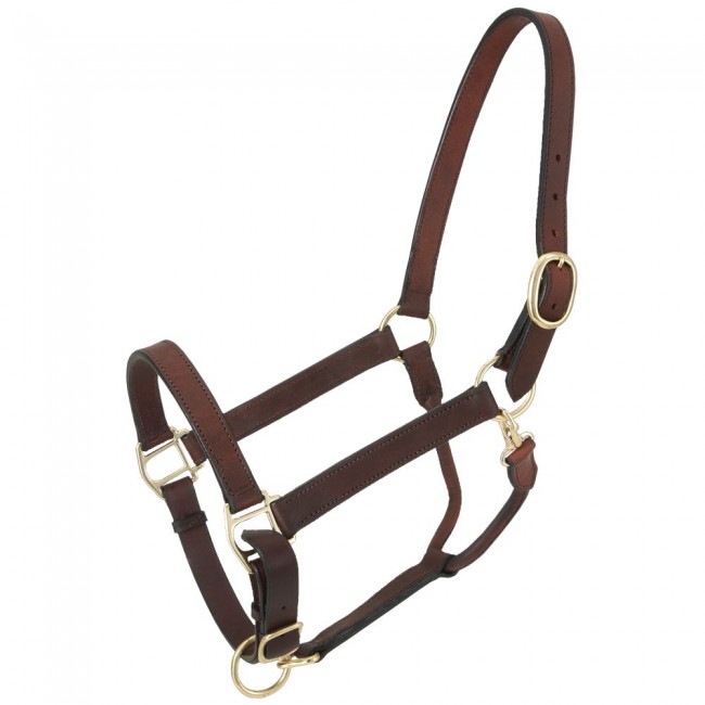 Light Oil Leather & Silver Bars Show Halter and Lead Shank