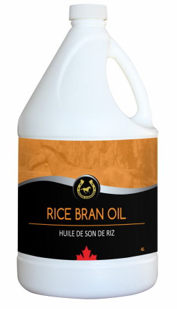 Rice Bran Oil for Horses, Rice Bran for Horses