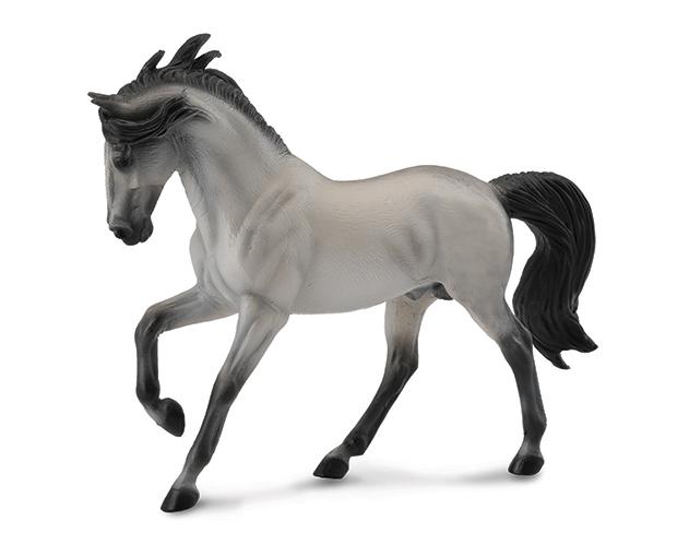 GREY ANDALUSIAN STALLION