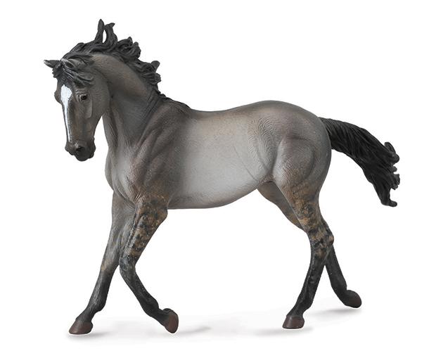 GRULLA MUSTANG MARE