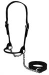 LEATHER HEIFER SHOW HALTER W/LEAD