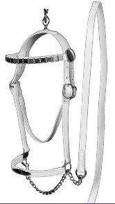 Leather Show Halter with Matching Lead, Chestnut