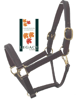 DRAFT LEATHER HALTER - TAN