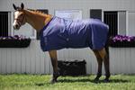 LINED STABLE BLANKET W/LEG STRAPS,BLACK,64^