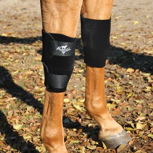 Pro on sale equine boots