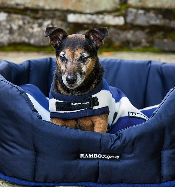 Navy dog blanket sale