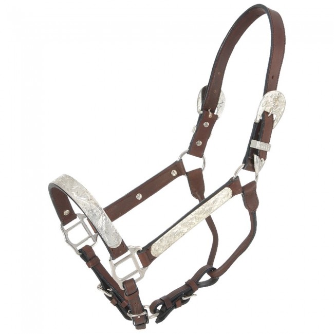 Billy Royal Pure & Simple Show Halters - Free Delivery - Western World  Saddlery