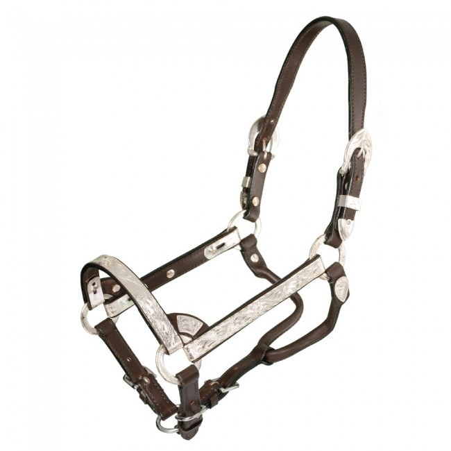 Royal King Deluxe Silver Bar Show Halter 