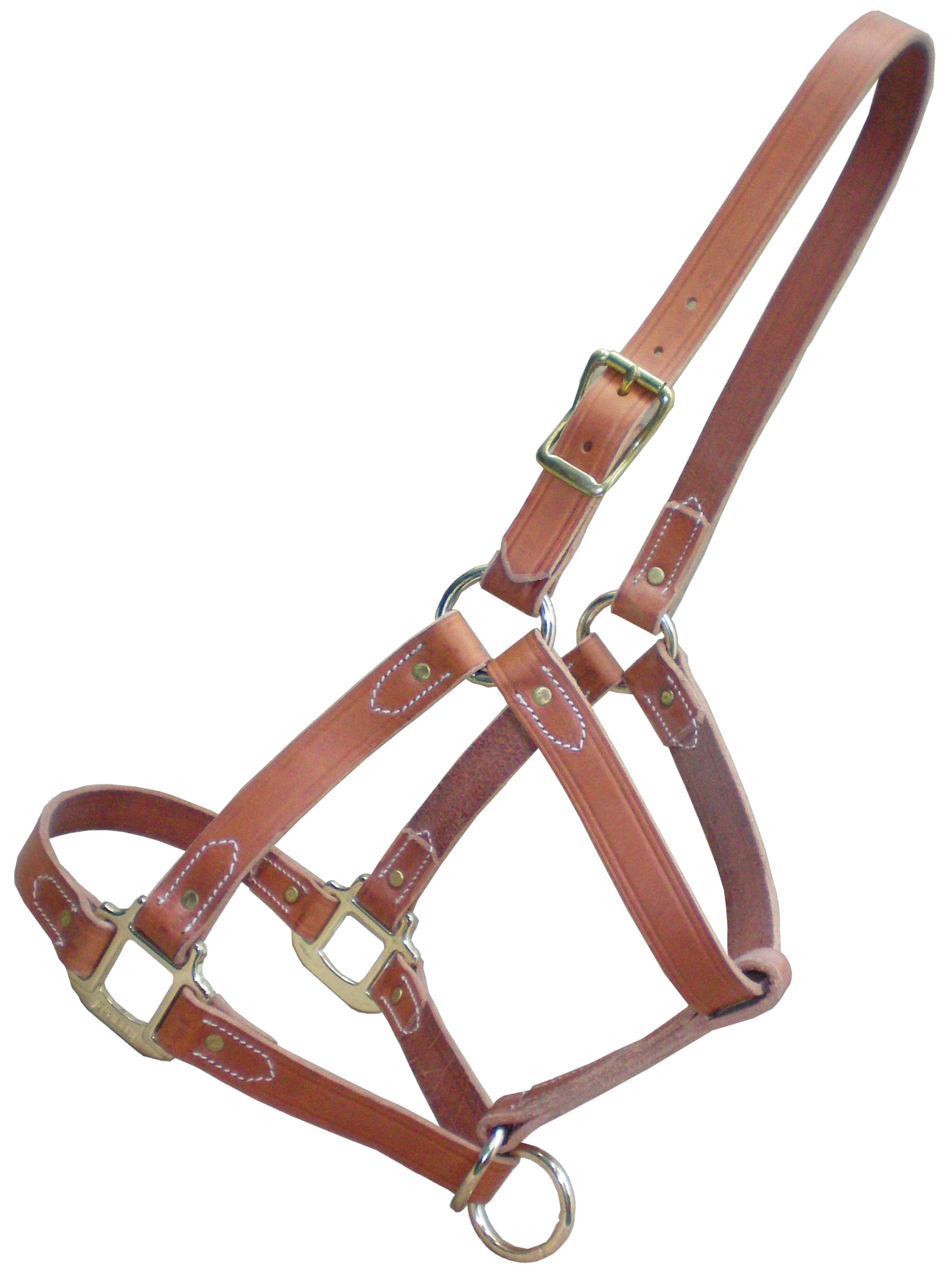 https://www.brubachersharness.ca/SINGLE-PLY-DRAFT-LEATHER-HALTER---TAN/image/item/AMH-241-T