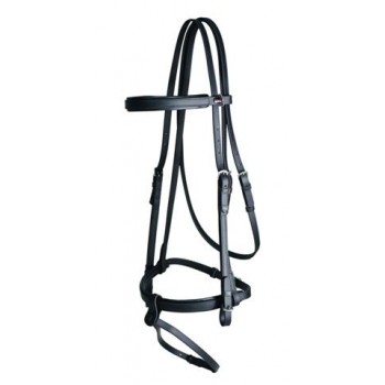 Dressage Bridles