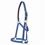 WALSH 3/4^ VICTORY NYLON HALTER - LARGE HORSE - RED