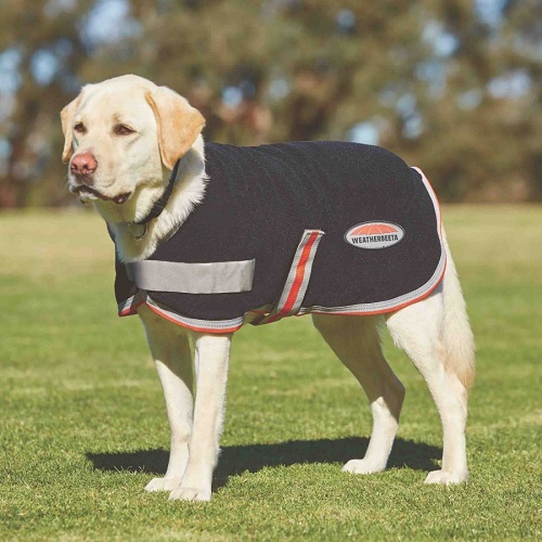 Fleece dog outlet coat