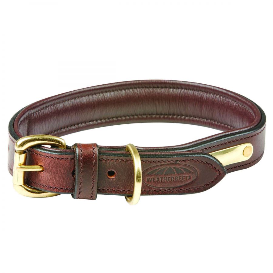 Padded leather hot sale dog collar