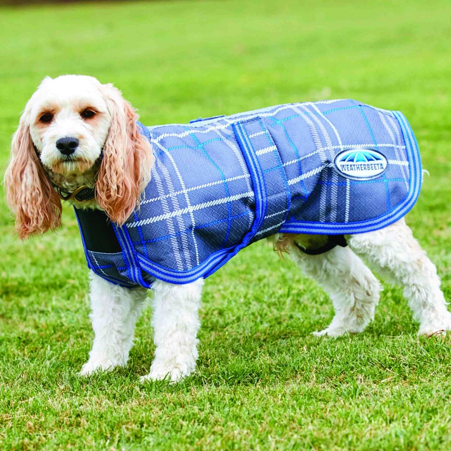 Weatherbeeta parka 1200d hot sale deluxe dog coat