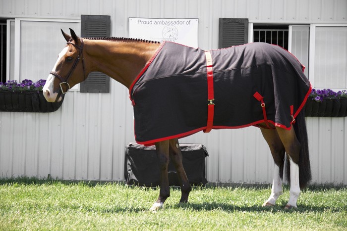 WOOL STABLE COOLER BLANKET W/LEG STRAPS,60