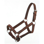 ROYAL KING MINIATURE LEATHER HALTER - MEDIUM