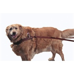 LEATHER DOG PULLING HARNESS - LARGE