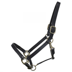 BROMONT LEATHER HALTER - BLACK - PONY