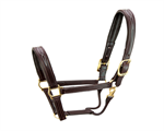 WALSH PADDED LEATHER HALTER - HORSE - HAVANA