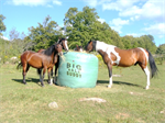 LARGE BIG BALE BUDDY