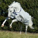 BUCAS POWER TURNOUT EXTRA 135 CM - SILVER