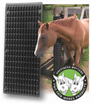 5251 EQUINE SCRATCHER