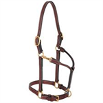 3/4^ DOUBLE BUCKLE CROWN HORSE HALTER - MAHOGANY