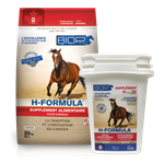 BIOPTEQ H FORMULA 5 KG