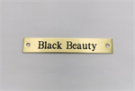 #4 HALTER PLATE BRASS - ENGRAVED 5/8^ x 4.25^