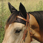 CASHEL COMFORT EARS BLACK LARGE - WARMBLOOD