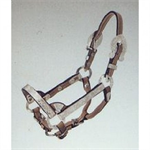 ROYAL KING SILVER SHOW HALTER - DARK OIL - LARGE-MINI