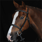 COLLEGIATE MONO CROWN FANCY STITCHED RAISED CAVESSON BRIDLE - BLACK - PONY