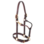 WEAVER 1^ LEATHER TRACK HALTER - STALLION/HORSE  - MAHOGANY