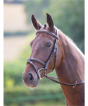 SHIRES AVIGNON PORTLAND BRIDLE - COB - HAVANA