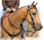 WEAVER BACK-IN-BLACK BROWBAND HEADSTALL - BLACK