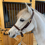 BEILER'S BROWN LEATHER HALTER - COB - ADJUSTABLE