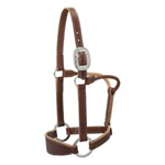 STACY WESTFALL LEATHER BRONC HALTER - AVERAGE - SUNSET