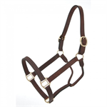 ROYAL KING LEATHER TRACK HALTER - HORSE SIZE